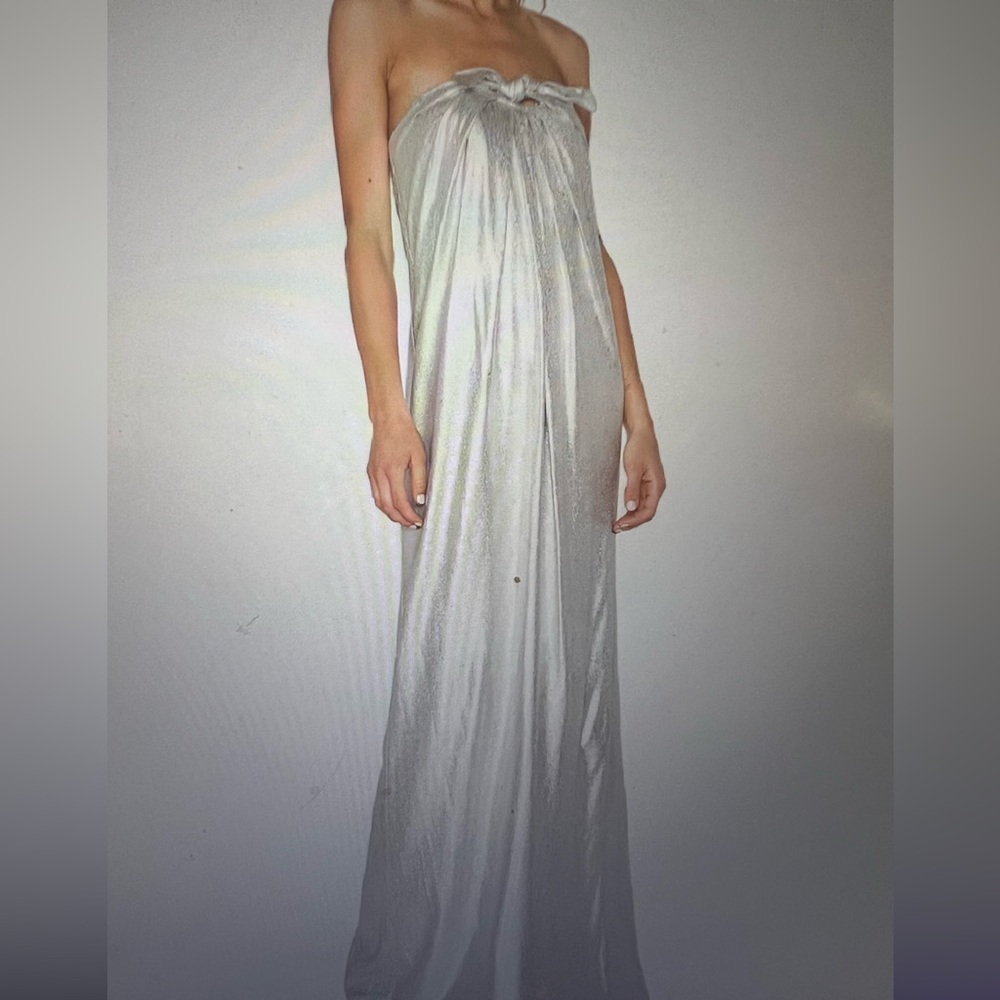 Silver Halston Heritage gown NWT